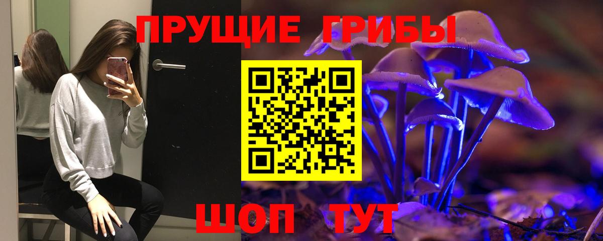 купить наркотики цена  Галлюциногенные грибы мицелий  Вход с VPN  Дятьково  Псилоцибиновые грибы Psilocybe 