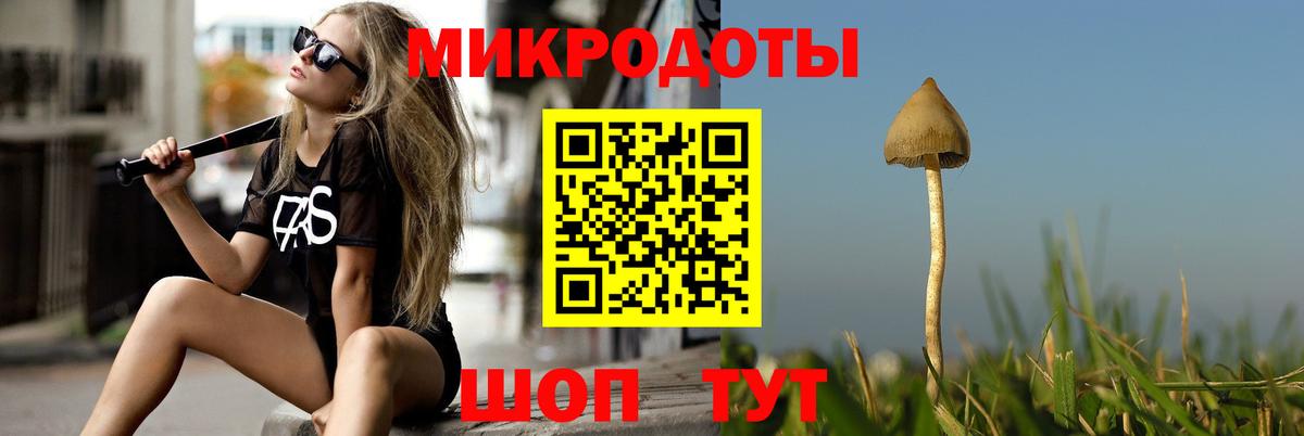 Галлюциногенные грибы Cubensis Дятьково